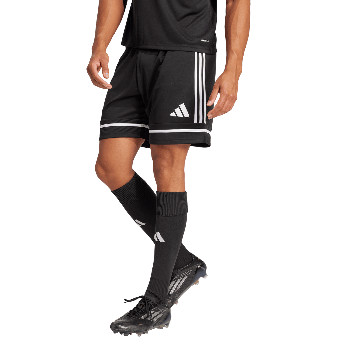 Men's Squadra 25 Shorts - Multiple Options