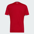 Wales 26 Replica Home Jersey