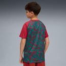 Portugal 26 Youth Warm Up Jersey