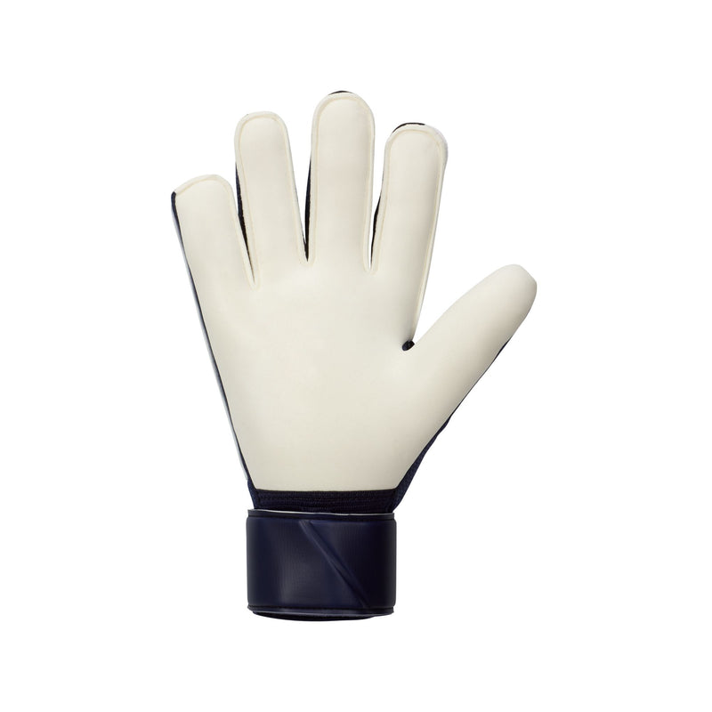Nike Match Goal Keeper Gloves - Mad Ambition Pack
