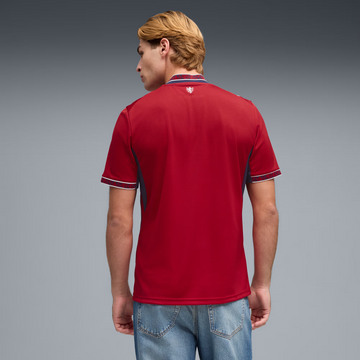 Men's Czechia 26 Replica Home Jersey