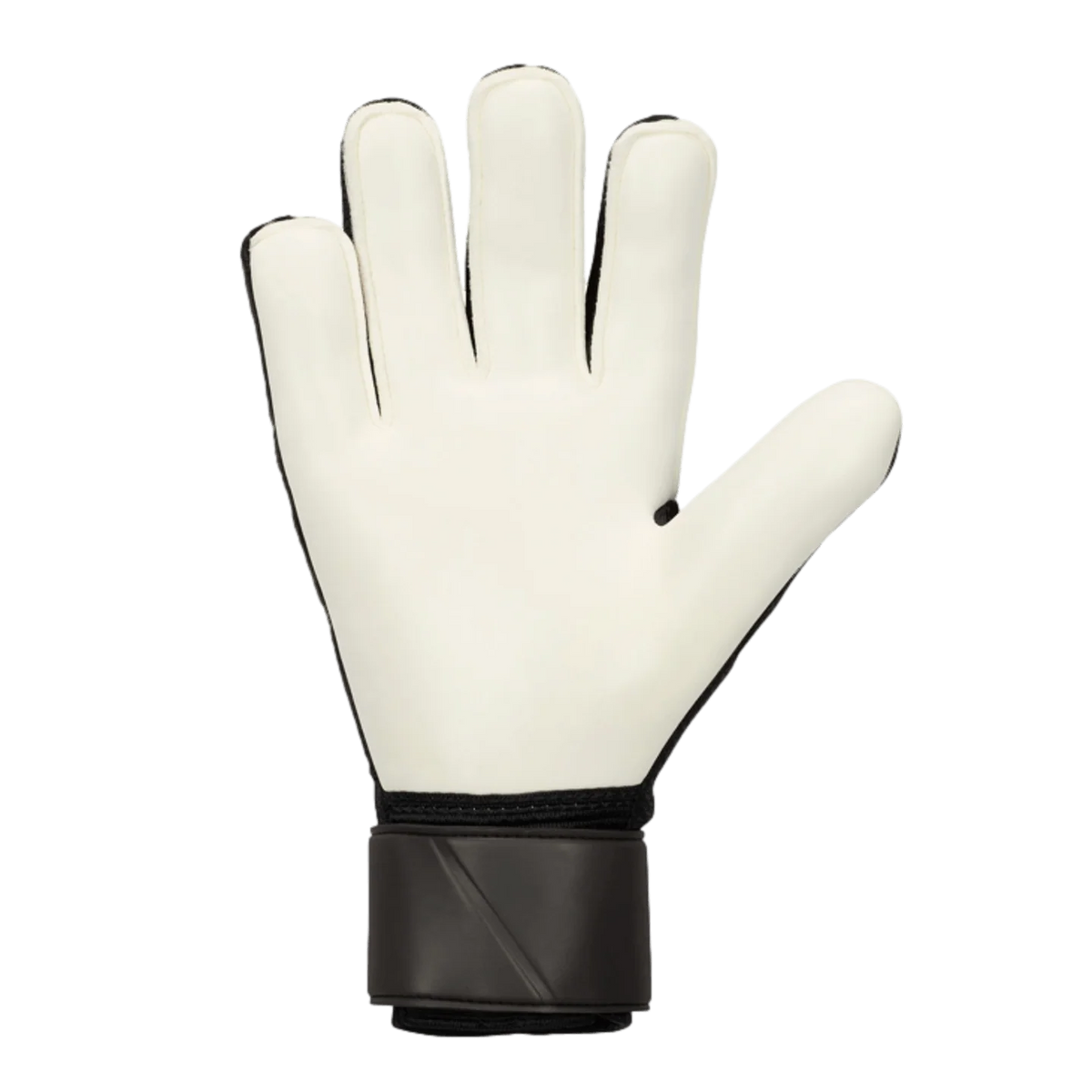 Nike Match Goal Keeper Gloves HO-23