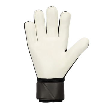 Nike Match Goal Keeper Gloves HO-23