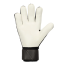Nike Match Goal Keeper Gloves HO-23