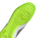 Predator Accuracy.4 Sala Indoor Court Soccer Boots - Crazyrush Pack