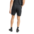 Referee 24 Shorts