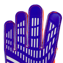 Youth Predator Training Goal Keeper Gloves