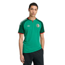Men's Algeria 26 Replica Away Jersey