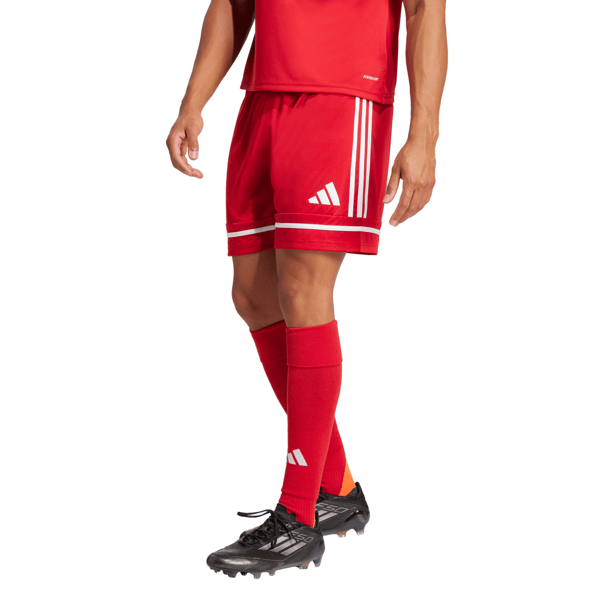 Men's Squadra 25 Shorts - Multiple Options