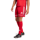 Men's Squadra 25 Shorts - Multiple Options