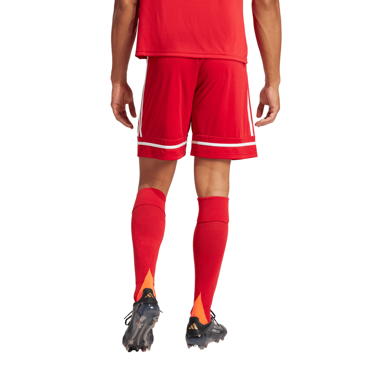 Men's Squadra 25 Shorts - Multiple Options