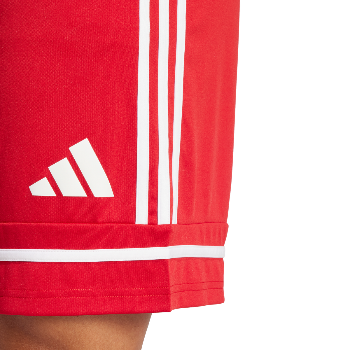 Men's Squadra 25 Shorts - Multiple Options