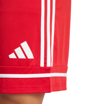 Men's Squadra 25 Shorts - Multiple Options