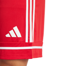 Men's Squadra 25 Shorts - Multiple Options