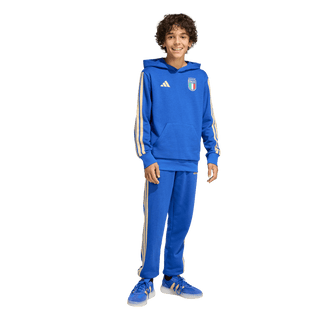 Italy 26 DNA Fleece Hoodie Youth