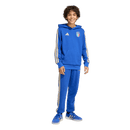Italy 26 DNA Fleece Hoodie Youth