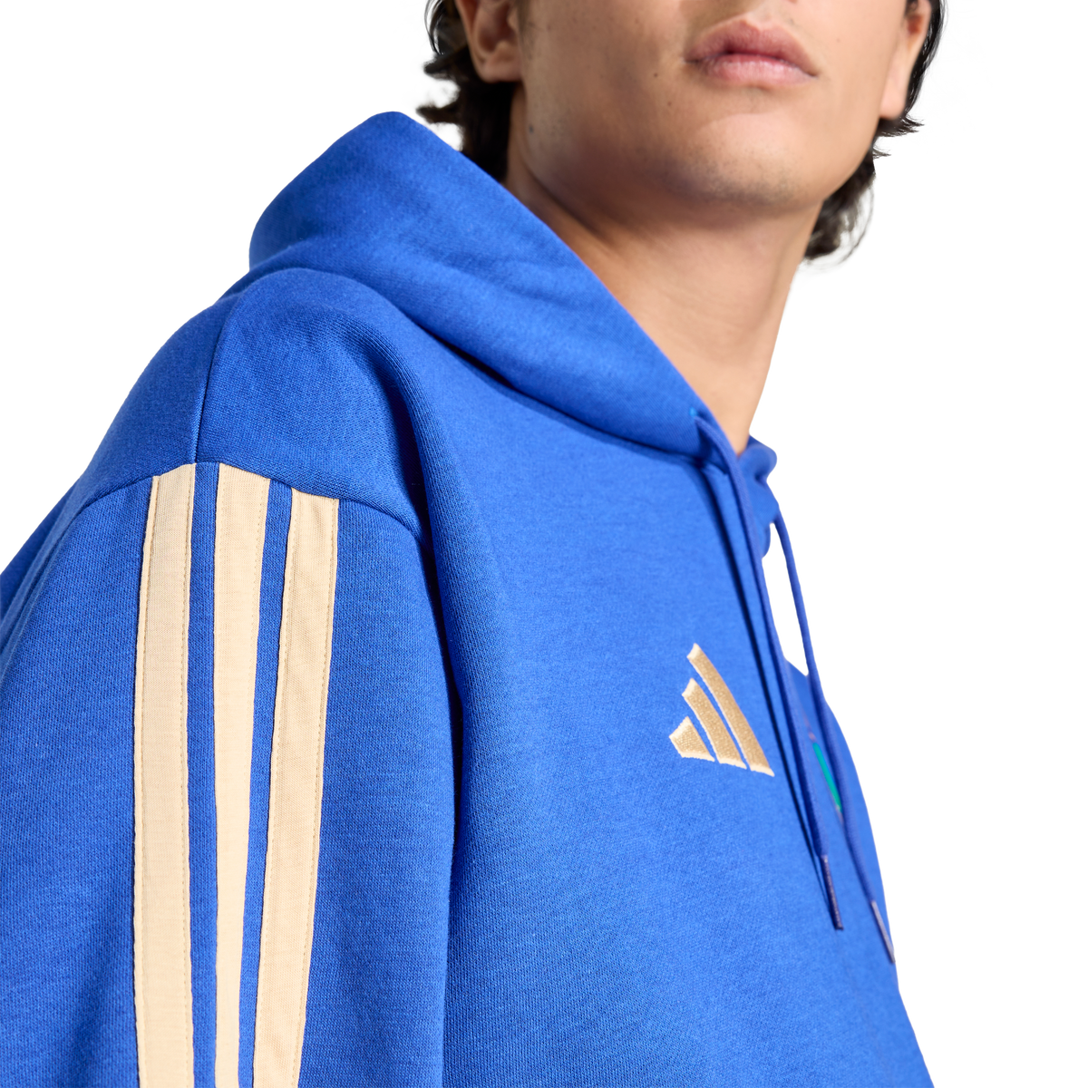 Italy 26 DNA Fleece Hoodie