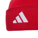 Liverpool FC Beanie