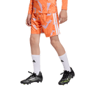 Tiro 26 Youth Goal Keeper Shorts (Multiple Options)