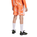 Tiro 26 Youth Goal Keeper Shorts (Multiple Options)