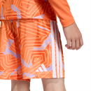 Tiro 26 Youth Goal Keeper Shorts (Multiple Options)