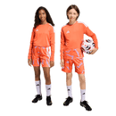 Tiro 26 Youth Goal Keeper Shorts (Multiple Options)
