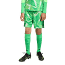 Tiro 26 Youth Goal Keeper Shorts (Multiple Options)