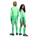 Tiro 26 Youth Goal Keeper Shorts (Multiple Options)