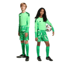 Tiro 26 Youth Goal Keeper Shorts (Multiple Options)