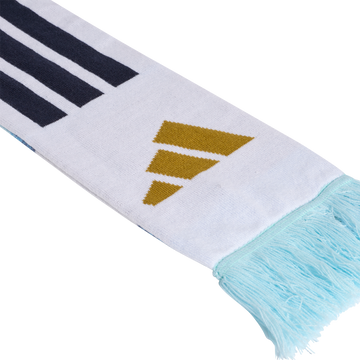 Argentina Scarf