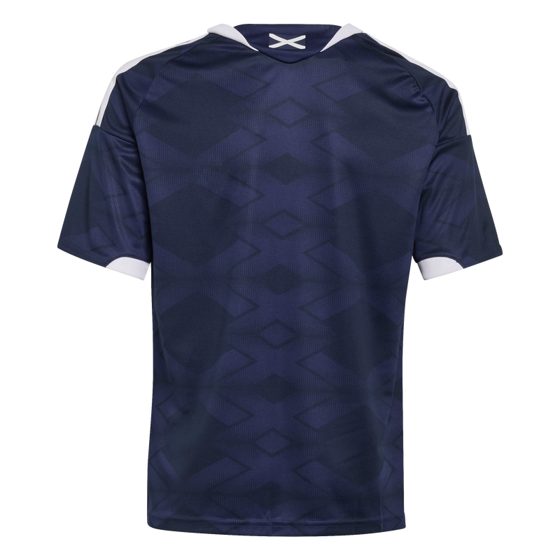 Scotland 26 Youth Replica Home Jersey