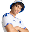 Greece 26 Home Replica Jersey