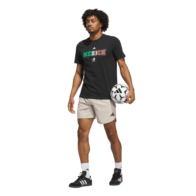 Mexico DNA Graphic T-Shirt