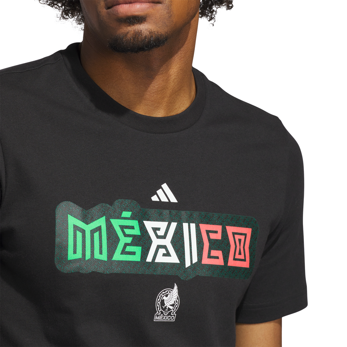 Mexico DNA Graphic T-Shirt