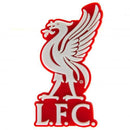 Liverpool FC 3D Crest Magnet