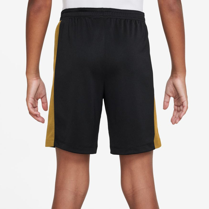 Youth Academy 23 Dri-Fit Shorts